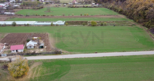 Teren intravilan de balta neagra l nuci l codrii vlasiei