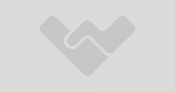 Ideal investitie, 1400mp teren curti-constructii, intre p...