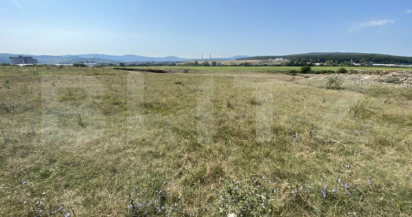 Teren extravilan criseni, 3800 mp