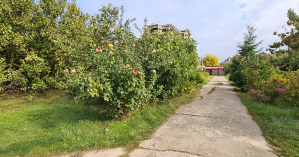 Super teren -bulevardul eroilor stradal