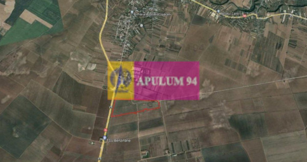 Teren de închiriat 40ha adunatii copăceni | industrial/...