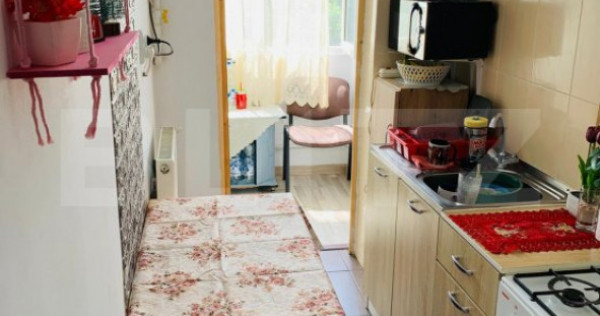 Apartament de vanzare, cu 1 cameră, 29 mp, zona tudor