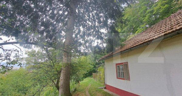 Casă de vânzare – colonia 1 mai 75.000 euro