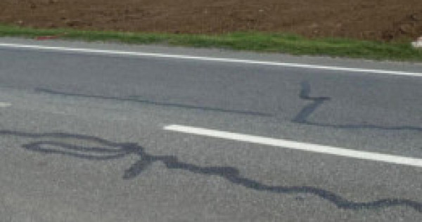 Parcele teren intravilan, 580 mp, pielești