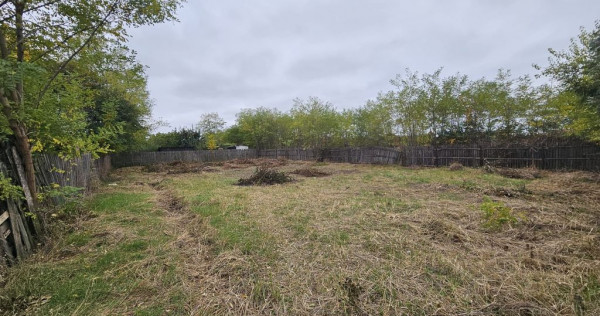 Teren intravilan bradu, 600 mp