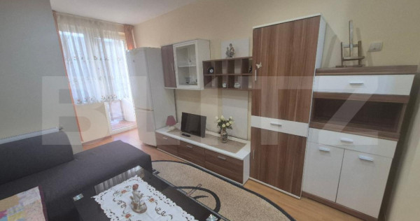 Garsoniera de vanzare, 24 mp, zona ostrovului