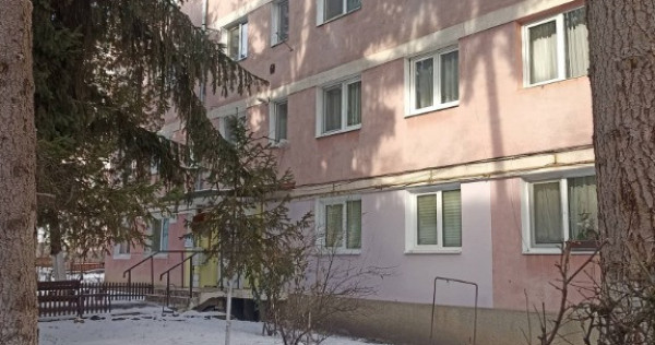 De vânzare garsoniera pe strada vasile goldis în sfântu gheorghe