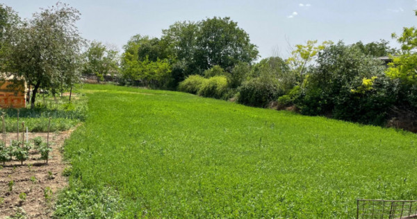 Teren intravilan situat in mihail kogalniceanu