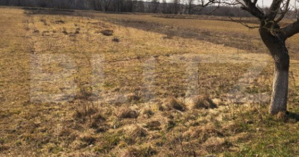 Teren extravilan de vanzare, 40 ari, zona racsa