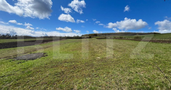 Teren extravilan de vânzare – 25 ari, panorama superbă,