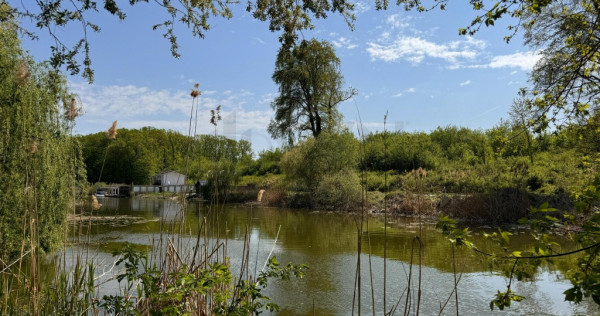 Teren intravilan 10.000 mp silistea snagovului de vanzare
