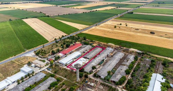 Unitate de abatorizare și procesare carne dn7 - nădlac