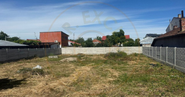 Teren pipera voluntari 600mp