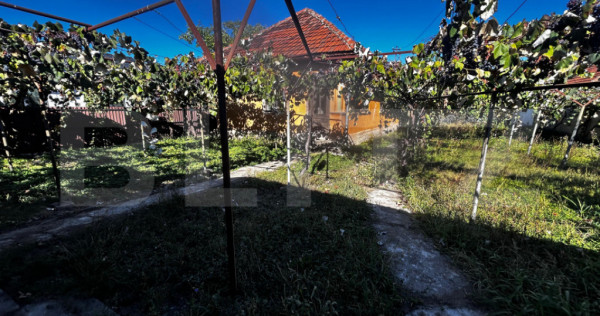 Case, zona stolojani, teren intravilan 1773 mp