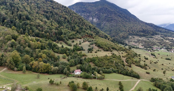 Comision 0% | teren intravilan | 4 x parcele de 592 mp | ...