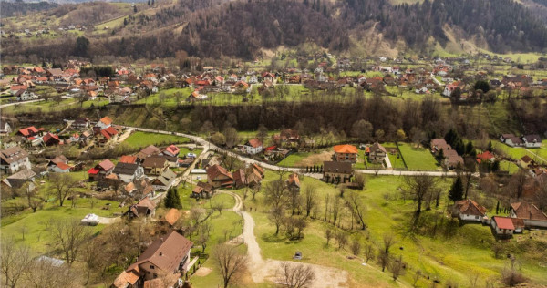 Film! pe domeniu de 6.500 mp teren, casa parinteasca, in mag