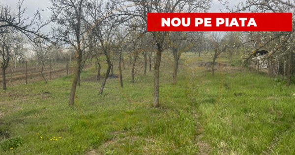 Teren intravilan 2.200 mp cu constructie existenta –caline