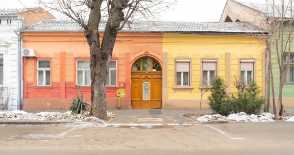 Apartament la casă, ultracentral– intimitate, curte pr...