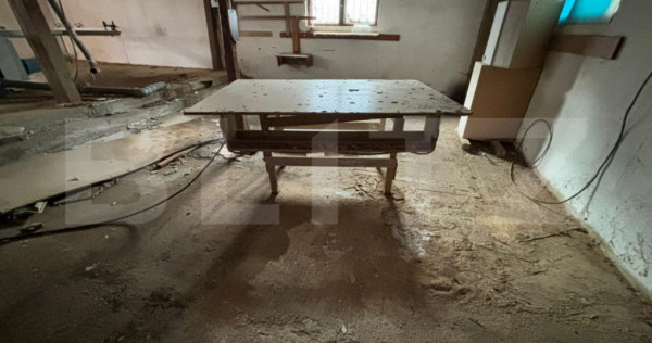 Spatiu omercial central