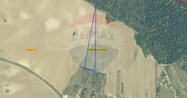 Teren intravilan 25000 mp – căldăraru (cernica, ilfov)