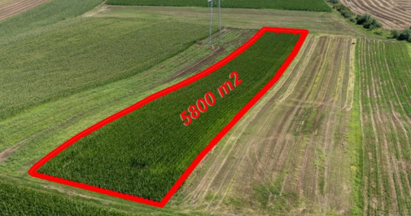 Teren agricol de vânzare