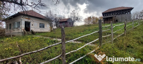 Casă cu teren valea oltului