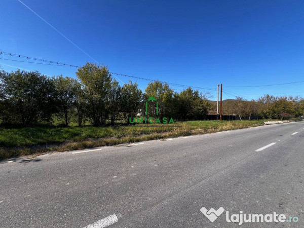Teren intravilan/str balciului/copacelu