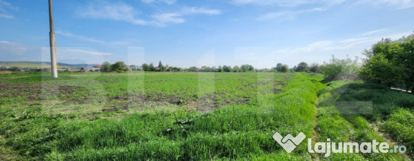 Teren intravilan, de vanzare, 5000 mp, zona combinat