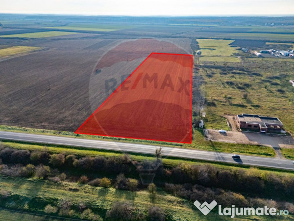 Teren 29220 mp pecica,dn7, langa autostrada- ideal pentru...