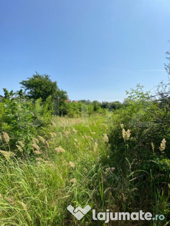 Teren intravilan de vanzare, 1500 mp, zona rahova