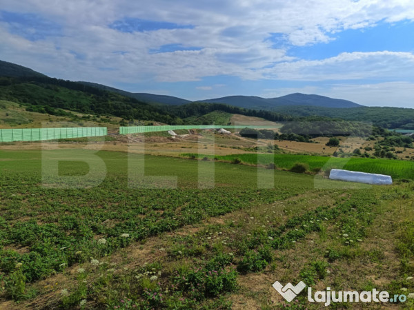 Teren extravilan 6500 mp