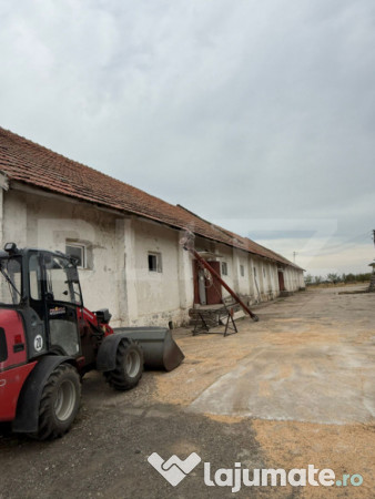 Ferma de vanzare in judetul timis, la nord est de timisoara,