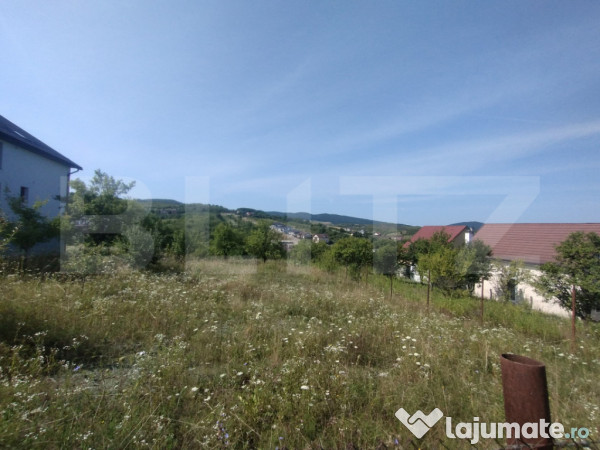 Teren intravilan 25 ari, zona valea sigmirului