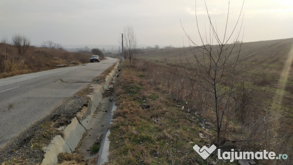 Teren intravilan pielesti , suprafață 10.000mp deschidere