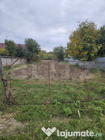 Teren intravilan, stanesti,3000mp