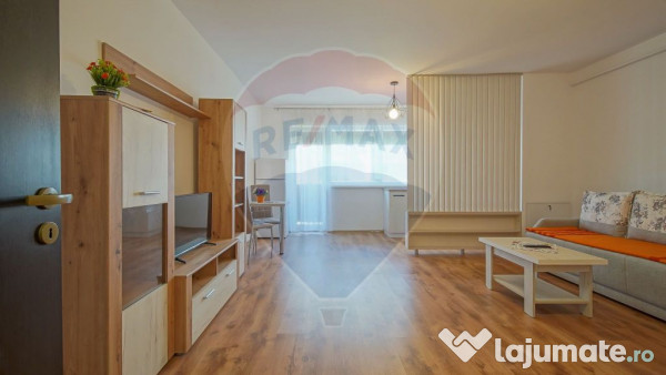 Garsoniera de inchiriat, subcetate-sanpetru