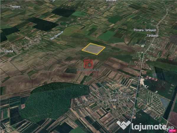 Teren agricol extravilan tartasesti - gulia, dambovita