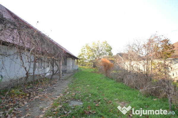 Casa cu teren 1823 mp, f.s. 20m, in becicherecu mic