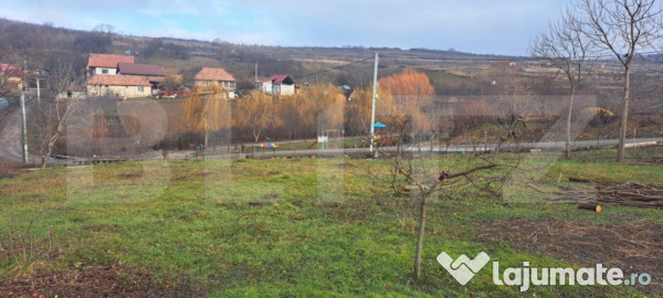 Teren intravilan, in suprafata de 1250mp.