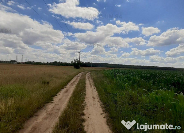 Teren 715mp în snagov lângă equestria