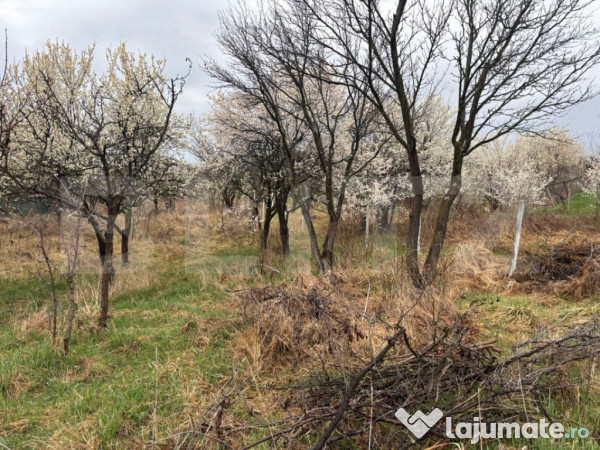 Teren intravilan de vanzare, 1.200mp, zona porolisum