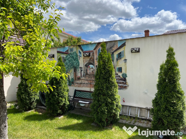 Casa cu curte superba central craiova