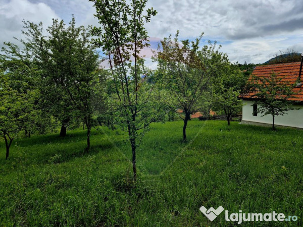 Comision 0 % /gradina insorita , intravilan sohodol 1337 ...