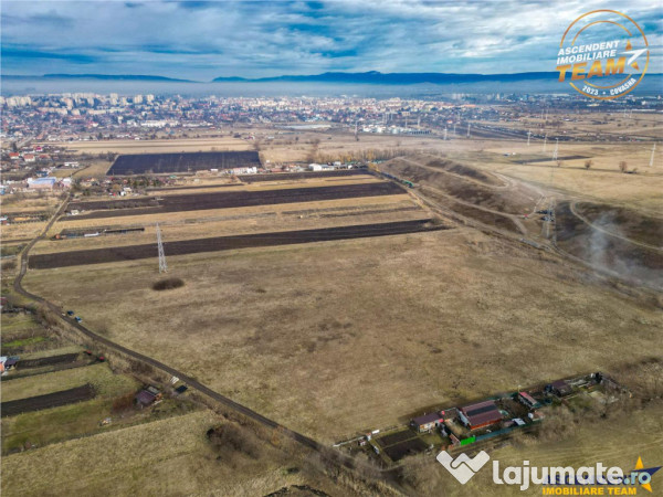 11.600 mp in sfantu gheorghe – deschidere: agroturism, ...