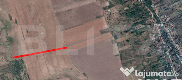 Teren agricol 5400mp dobrovat iasi