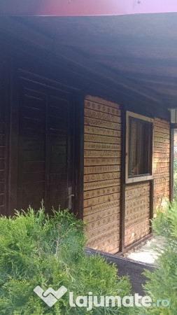 Căsuța în pãdure unicatã cu pirogravurã