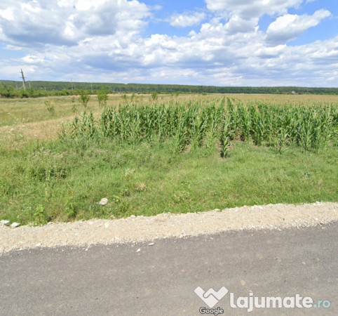 Teren 3200mp dragomiresti dambovita /negociabil