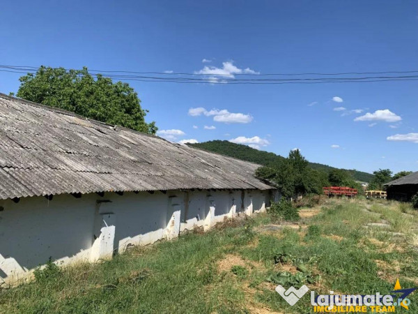 Spatiu industrial multifunctional: productie, depozitare,log