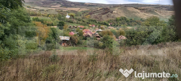 Casa de vanzare, 3 camere, 4663 mp teren, cf, sat barai