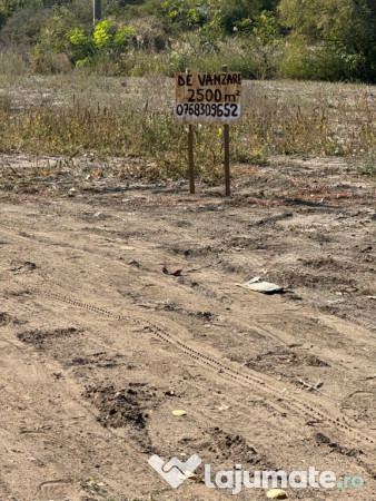 Teren intravilan agricol 5000 mp2